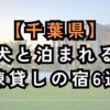 千葉県で犬と泊まれる一棟貸しの宿